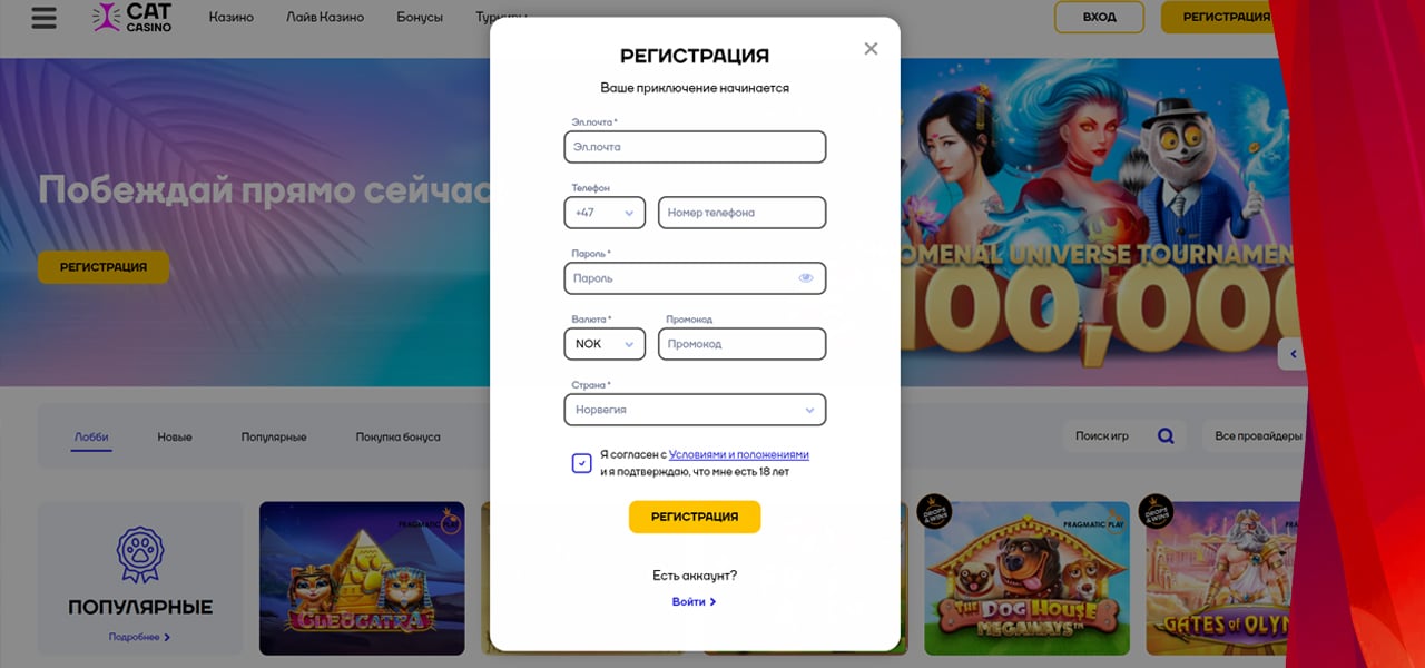 вход на официальный сайт cat casino